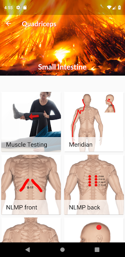 Touch for Health to go Screen 3