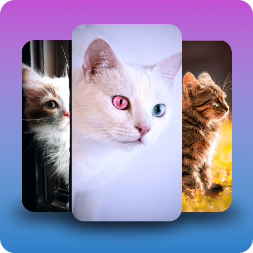 Kittens and cats wallpapers logo