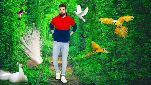 Android application Birds Photo Editor- Pic Frames screenshort