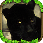 Cover Image of Download Panther Simulator  APK