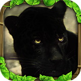 Panther Simulator icon
