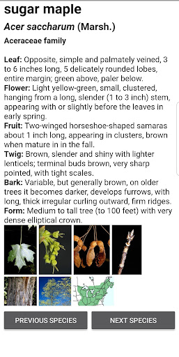 Logo https://play-lh.googleusercontent.com/Vi66BzfDuth_4PsPYjLXoorUySGmBSc1RI6Zbhv8oOp0VPkbfP18aE5EqQurQBQMvg