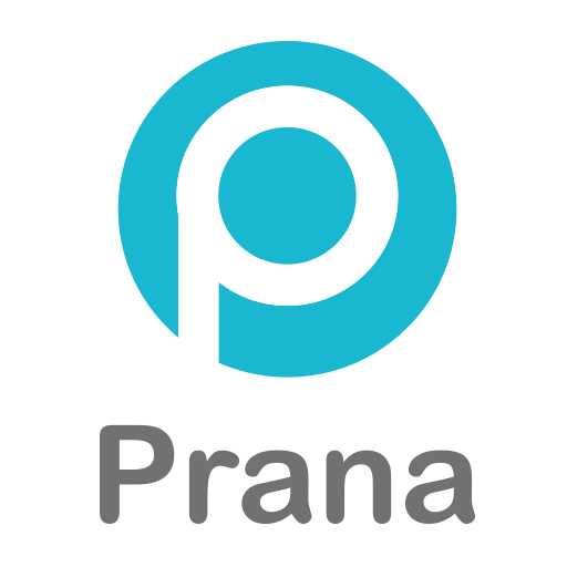 Prana Gestión logo