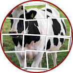 Cow Puzzle