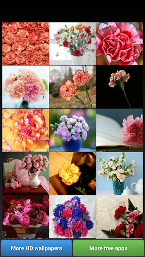 Android application Carnation for Mum - Wallpapers screenshort