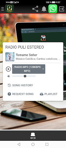 Radio Pulí Stéreo
