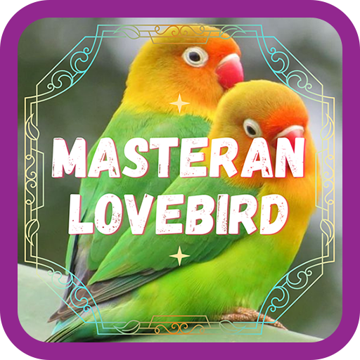 Masteran Lovebird Ngekek  Icon