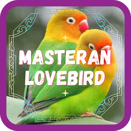 Masteran Lovebird Ngekek - AppWisp.com