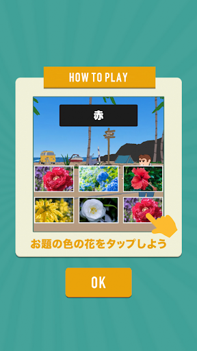 フラワーカラー Screen 2