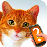 Ask cat helper simulator icon