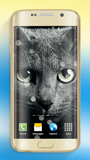 Cute Cats Live Wallpaper