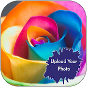 Colorful Flower Photo Frame