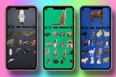 Sons de Animais – Apps no Google Play