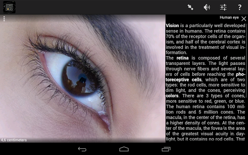 Logo https://play-lh.googleusercontent.com/Vj_FqxHmRUWXmm0p4FlLdZ1jHzxGNltfhhxNV0q3y0V7zDqw1aO2BgIwRa2OcsZ8NA