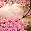 Spring Flowers Live Wallpaper