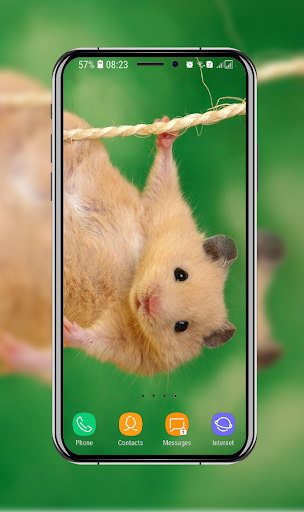 Android application Hamster Wallpaper screenshort