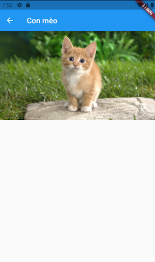 Simple Animals Screen 2