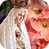 Imagenes Gratis Virgen de Fatima icon