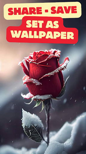 Romantic Roses Magic Flower HD Screen 2