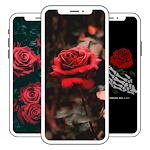 Cover Image of Download wonderful roses wallpapers  APK