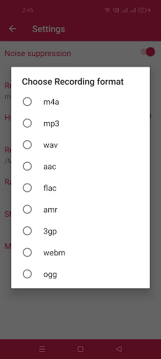 My Voice Recorder Screen 3