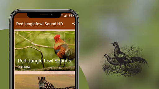 Red Junglefowl Sounds Screen 2