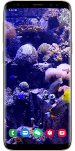 Real Aquarium Live Wallpaper Unknown
