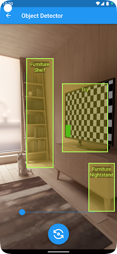 What is this? Use the camera! Screen 2