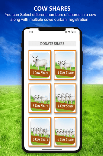 Qurbani Online DawateIslami UK Screen 3