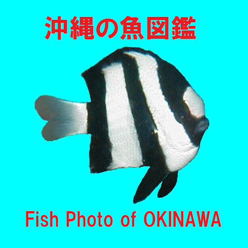 沖縄の魚図鑑 التطبيقات على Google Play