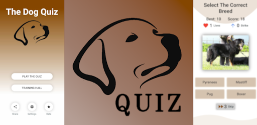 Choose dog best sale breed selector tool