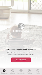Little Racoon