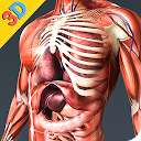 Human Anatomy And Physiology 1.0.1 APK Baixar