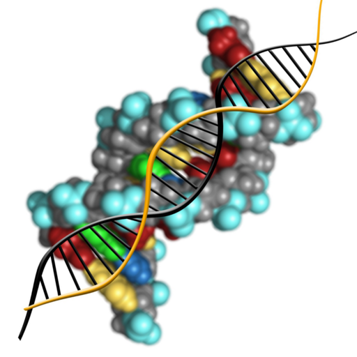 Molecular genetics 8.5.2 Icon