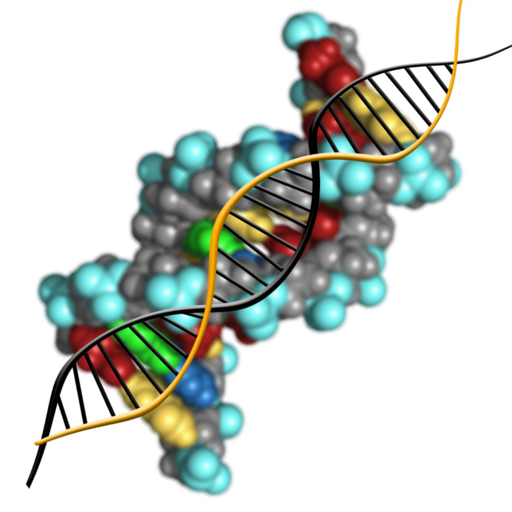 Molecular genetics  Icon