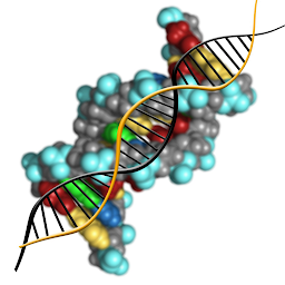 Icoonafbeelding voor Moleculaire genetica