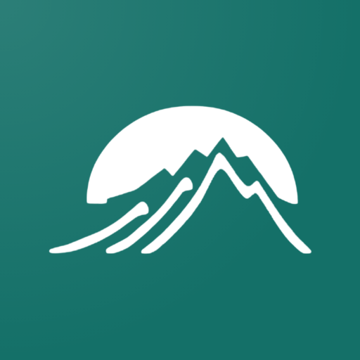 Baguard Pro logo