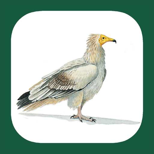 Birds of North Africa 1.1 Icon