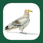 Top 40 Books & Reference Apps Like Birds of North Africa - Best Alternatives