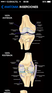 Rodilla App