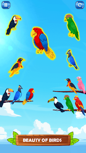 Android application Bird Sort Puzzle Sort Games screenshort