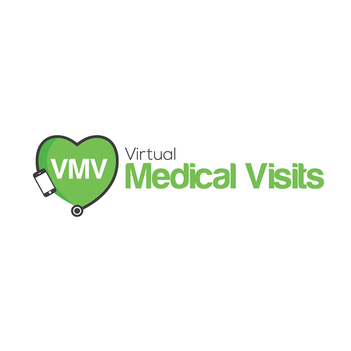 VMV Innovations International logo
