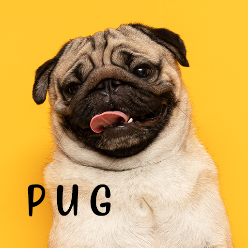 Pug Theme +HOME logo