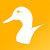 Duck Species: Types of Duck, Mallard, and Drakes icon