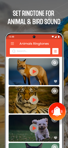Animal Ringtone: Bird Ringtone - Latest version for Android - Download APK