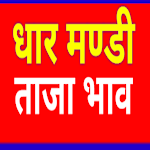 Cover Image of ดาวน์โหลด dhar mandi bhav 9.8 APK