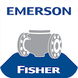 Emerson Severe Service icon