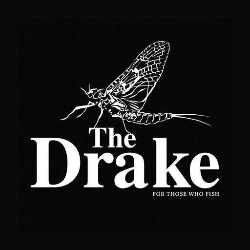 The Drake