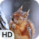 Cute Squirrel Wallpapers HD - Androidアプリ
