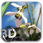 Cover Image of Download Nature Live❁ Spring Flowers XL  APK